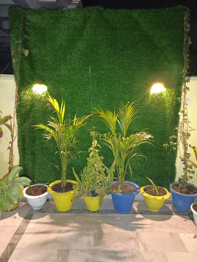 Open-Area-HomeStay-Aashiana-Lucknow